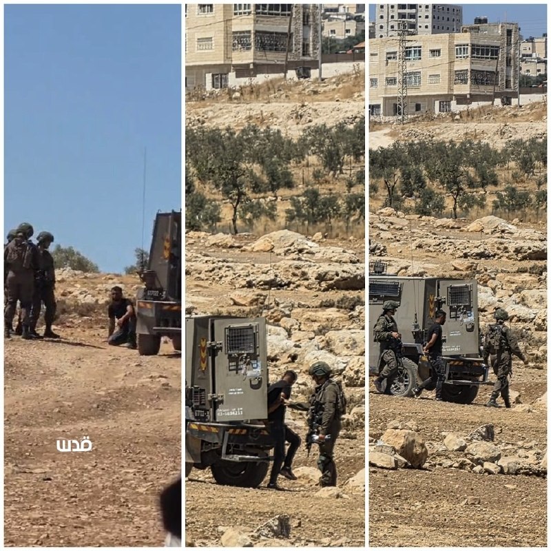 צה"ל עצר צעיר בפשיטה על התיישבות בדואית מצפון לירושלים