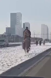 Монголия: две полосы для автомобилей, одна – для лошадей.В императорском Пекине 