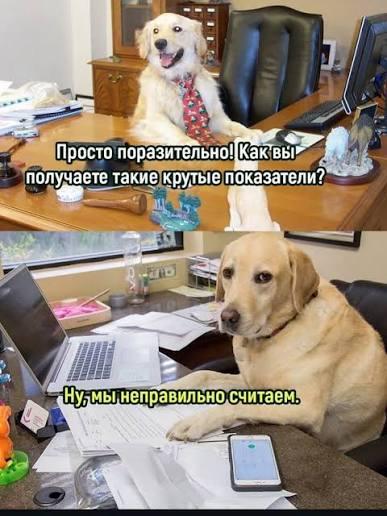 Самая тупая статистика ever: Рекламный рынок Max вырос более чем в тысячу разНе, я понимаю что пиарщикам нужно отрабатывать зарплату. Но там сравнивают июль 2026 года с сентябрём 2025. Когда каналы в Максе появились за месяц до этого. Могу предложить ещё о