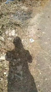 Settlers attack farmers between the villages of Burka and Beit Amarin, northwest of Nablus.