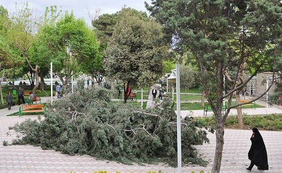 روزنامه ایران: ⭕ هشدار نسبت به وزش باد خیلی شدید در تهراناداره کل هواشناسی استان تهران:🔹از دوشنبه تا چهارشنبه (۱۶ تا ۱۸ شهریور) در نوار