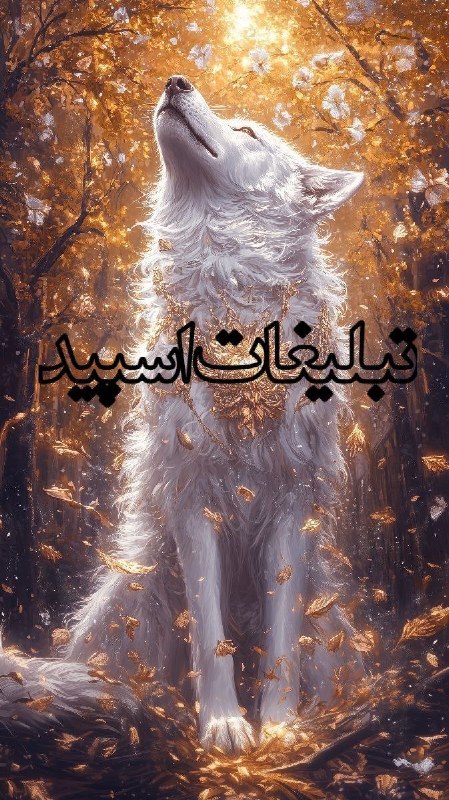 گروه دوستیابی دخترونه خرم آباد: ❶﹚ نام : 🖤 🦂 𝐵𝑒𝓈𝓉 𝒻𝓇𝒾𝑒𝓃𝒹𝓈 🦂 🖤❷﹚ نو؏ تبلیغات : #telegram❸﹚ توضیحات :خوش اومدین به گپ عقرب مخ زنی ازاد🥰╔════════════════╗