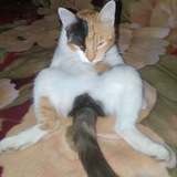 логово MunuX