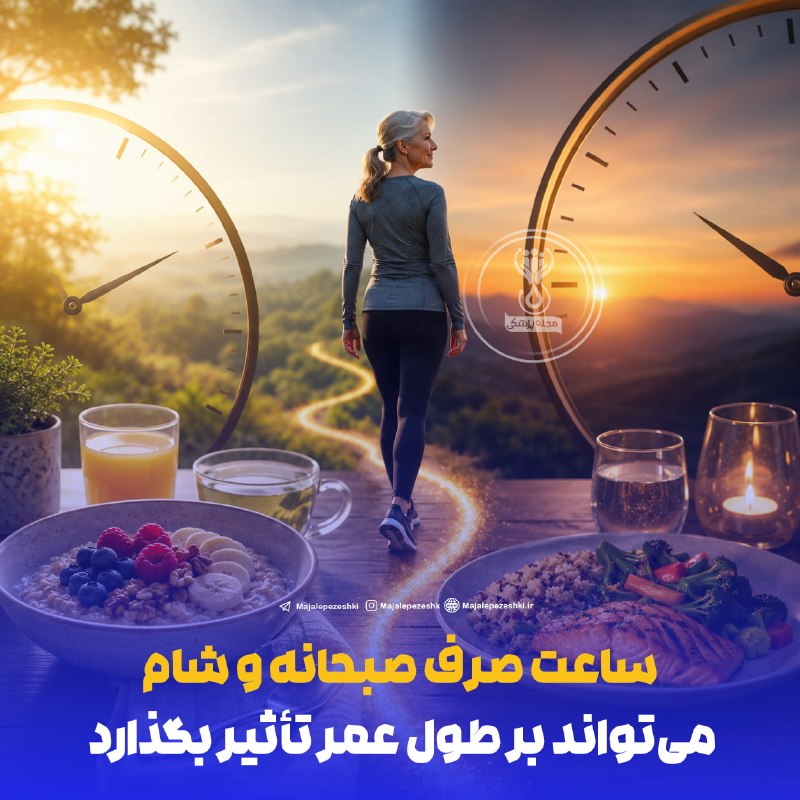 مجله پزشکی: ساعت صرف صبحانه و شام میتواند بر طول عمر تأثیر بگذارد!◽️پژوهشگران با بررسی دادههای بیش از ۳۱ هزار فرد بزرگسال متوجه شد