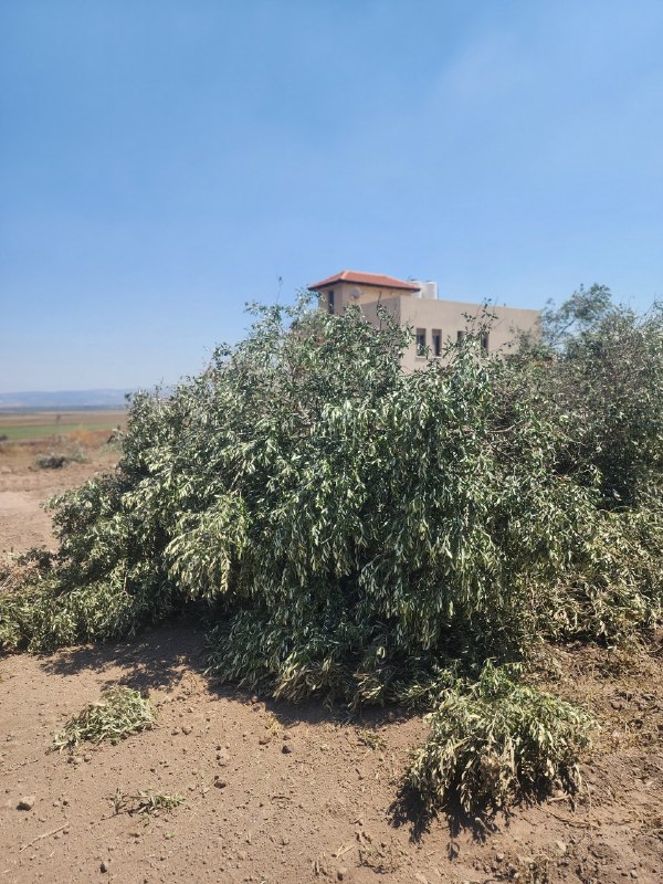 רשת חדשות ירושלים