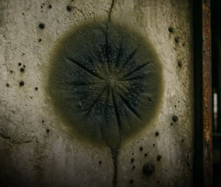 A black fungus feeds on radiation in Chernobyl.In the radioactive ruins of Chernobyl’s Reactor 4, scientists found an extraordinary black fungus, Cladosporium sphaerospermum, thriving in one of Earth’s most toxic environments. Rather than merely enduring radiation, this fungus seems to harness it through radiosynthesis—a process akin to photosynthesis but driven by gamma radiation, converting it into chemical energy. It’s among the rare organisms capable of this feat. Even more remarkable, when tested on the International Space Station, the fungus flourished, forming a biofilm that blocked up to 84% of cosmic radiation, hinting at its potential as a living radiation shield for astronauts. With radiation posing a major hurdle for deep-space missions to Mars and beyond, this self-regenerating biological layer could revolutionize spacecraft design by replacing heavy, bulky shielding. On Earth, researchers are exploring its use in bioremediation to detoxify radioactive sites too hazardous for humans, potentially transforming nuclear disaster recovery. As one scientist put it, “It’s like nature crafted a biological radiation shield.” From Chernobyl’s ruins to space, this humble fungus could help humanity thrive in the universe’s harshest environments.Science and facts💡
