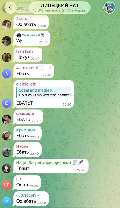 הפלמינגו" האוקראיני מאחל לליפצק לילה "טוב ושקט", והצעקות של הרשיסטים בצ'אט בעיר מדברות בעד עצמן מה לעזאזל ק…