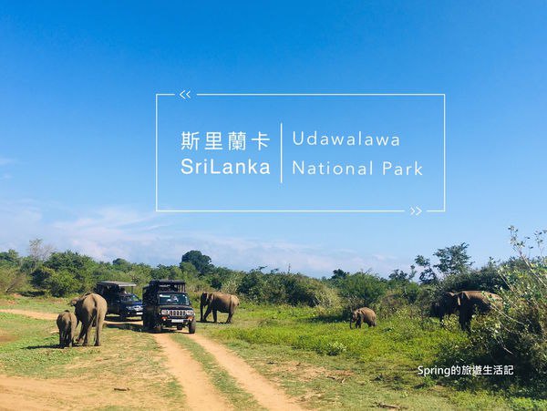 【女生自助斯里蘭卡12天】走！早起去烏達瓦拉維Udawalawe 國家公園坐吉普車看野生錫蘭象。Safari半日遊的選擇建議