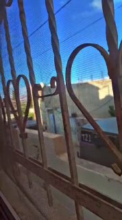 כוחות הכיבוש מסתערים על הכפר זאבובה, ממערב לג'נין.