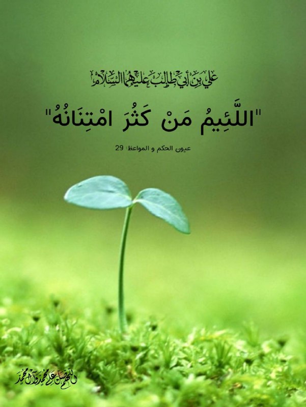 قناه السيده لبابه زوجه العباس (عليهما السلام ): ﷽ #الحكمة_الصباحية روي عن أمير المؤمنين علي عليه السلام: "اللَّئِيمُ مَنْ كَثُرَ امْتِنَانُهُ"📚عيون الحكم و المواعظ: 29#