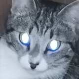 Мотяна коробка