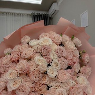 MY WORLD Telegram Group Link