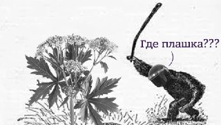 В Нижегородской области появится список «растений-иноагентов»Об инициативе сообщил в своем телеграм-канале председатель Законодательного собрания области Евгений Люлин. По его словам, туда будут включать «опасные, инвазивные и чужеродные» растения, которые