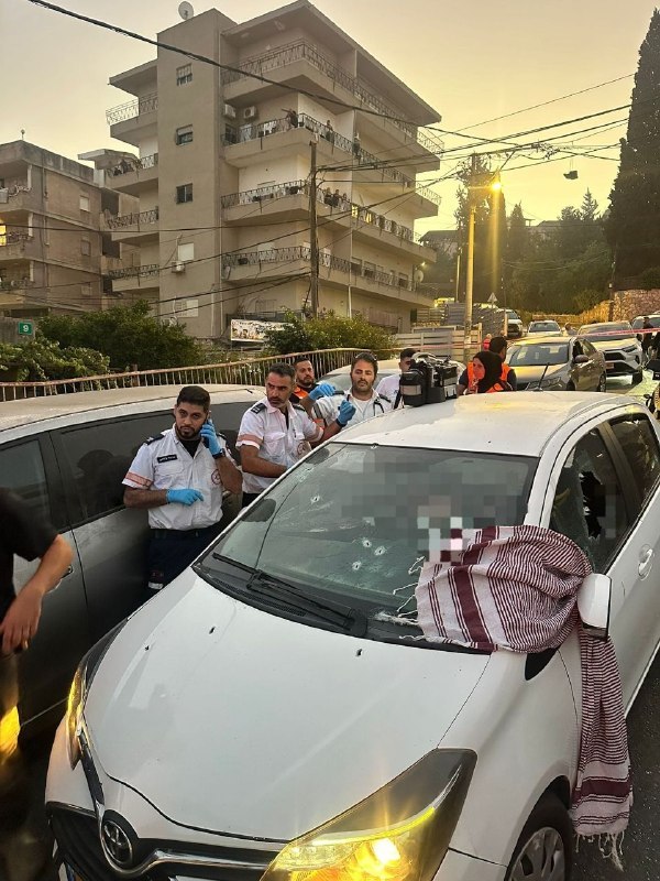 אור רביד