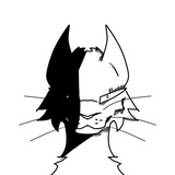 Nasokk