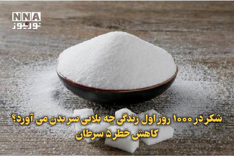 نورنیوز: ✅ شکر در ۱۰۰۰ روز اول زندگی چه بلایی سر بدن می‌آورد؟ کاهش خطر ۵ سرطان🔹 نتایج یک مطالعه روی بیش از ۶۴ هزار نفر نشان می‌ده