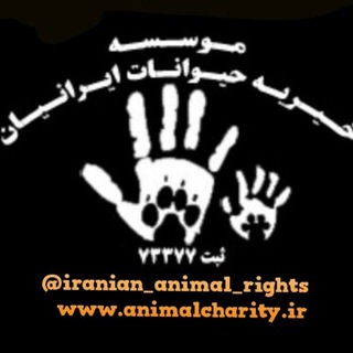 خیریه حیوانات Telegram Group Link