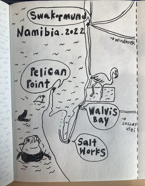 納米比亞: 史瓦科普蒙德、溫差、海豹