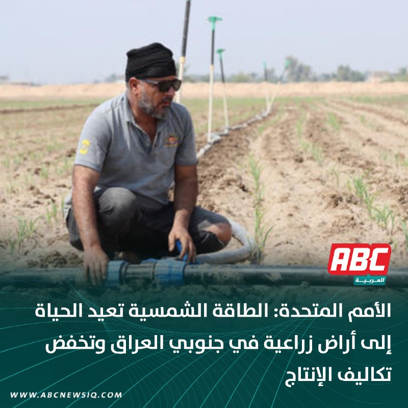 🔴 الأمم المتحدة: الطاقة الشمسية تعيد الحياة إلى أراض زراعية في جنوبي العراق وتخفض تكاليف الإنتاج