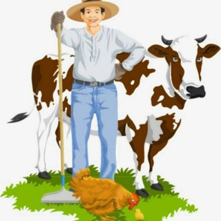 🐃Jondor online bozor (chorvachilik)🐂