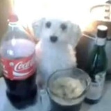 сорри бебе
