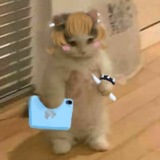 ° Loffy рисулькает °