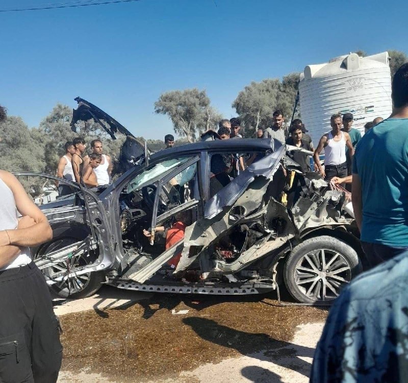 ספיר ליפקין