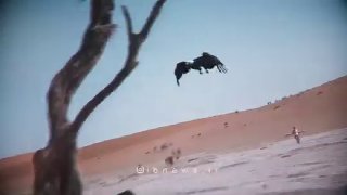 🎦 איזה חלום חלמה לאיראן לאמריקה?