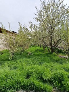 Srochna yer sotiladi zangiotada arzon narhda