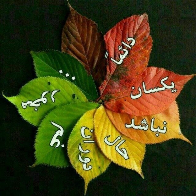 🍃﷽🍃 سنگ صبور🍃﷽🍃: َ ای دل غمدیده، حالت بِه شود، دل بد مکن وین سرِ شوریده بازآید به سامان، غم مخور دَورِ گردون، گر دو روزی بر مرادِ ما نرفت