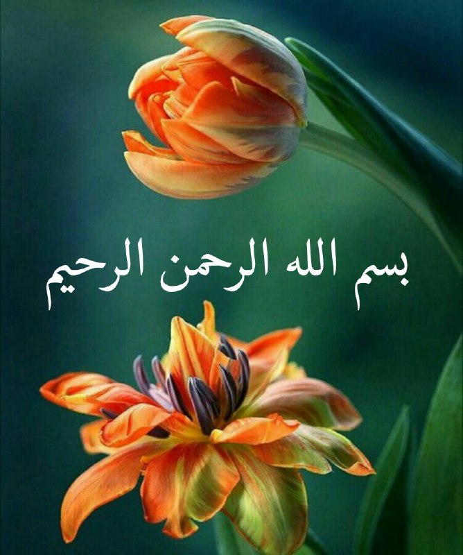 خاطرات خانه ی پدری: ◽️◽️◽️◽️ مهربانم.....جهان را با پرتوهای نور خورشید گرم می کنی و دل مرا با اطمینان به بودنتمحبوب منبا تو هستم و با تو می 