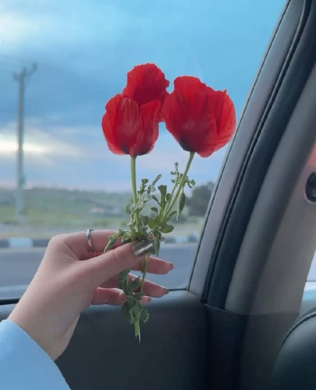 پـــــروفــایــݪ دخترونه💕🍃: #𝐏𝐑𝐎𝐅💕🍃𝐆𝐈𝐑𝐋👧🏻𝗝𝗼𝗶𝗻➪♥️|@profail_dokhtarone_s‌‌‌‌‌‌‌‌‌‌‌‌‌‌‌‌‌‌‌‌‌‌‌‌‌‌‌‌‌‌‌‌‌‌‌‌‌‌‌‌‌‌‌‌‌‌‌‌‌‌‌‌‌‌‌‌‌‌‌‌‌‌‌‌‌‌‌‌‌‌‌‌‌‌‌‌‌