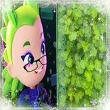 Племя 水异