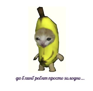 В России ввели новый ГОСТ на бананы. Они не должны быть меньше 14 смГОСТ вступит в силу с 1 марта 2026 года. Принятый ГОСТ распространяется на свежие бананы, которые в дальнейшем будут продаваться в магазинах, а при ввозе в Россию проходить контроль на соо