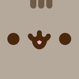 ︎