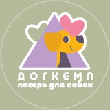 DOG CAMP // ЛАГЕРЬ ДЛЯ СОБАК, НО ПРО ЛЮДЕЙ