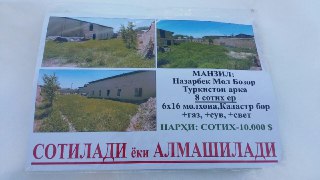 Nazarbek mol bozorda er sotiladi