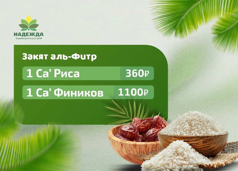 Закят-уль-фитр — это обязательная выплата разговения, выплачиваемая до праздничной молитвы от каждого члена семьи. фото