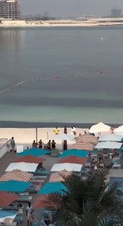 זיהום נפט בקנה מידה גדול תועד מול חופי איחוד האמירויות הערביות על רקע התקפות מתמשכות על מכליות נפט מול חופי…
