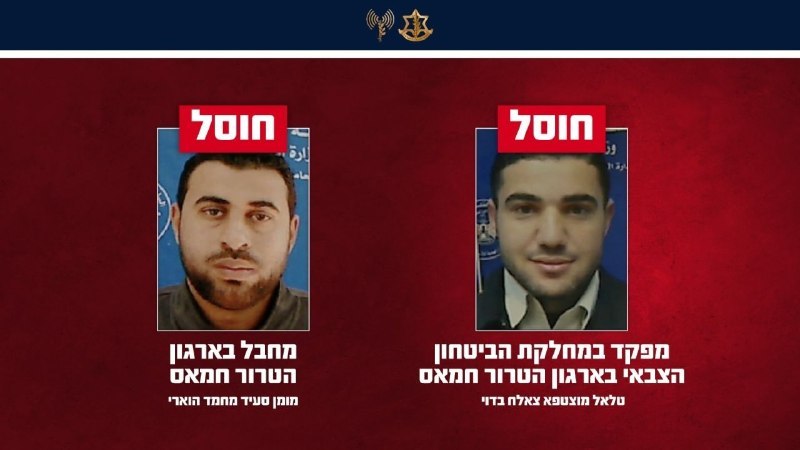 ניצן שפירא