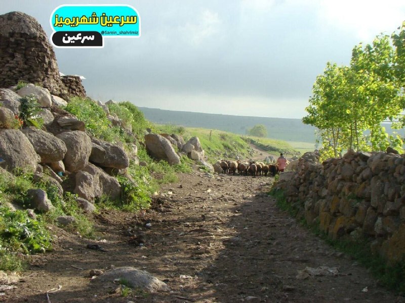 سرعین شهریمیز: صبح بخیر سرعین گون آیدین ، گونوز برکتلی📍ارجستان سرعین💠 رسانه مردمی سرعین شهریمیز @Sarein_shahrimiz