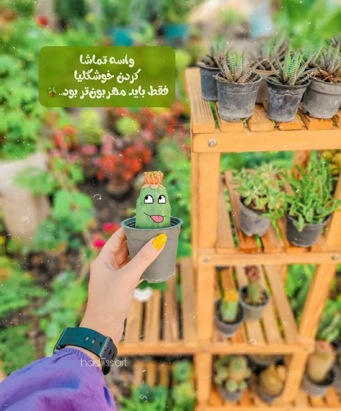 متن های ناب: .تو صبر کن...شاید سخت باشد اما ممکن است؛بالاخره یک روز یک جایی،کاکتوس زندگیت شروع به گل دادن می کند...🌵💚✨@nabtarin_tex