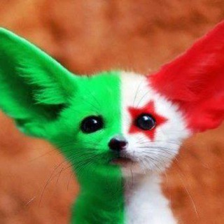 الجزائر 🇩🇿 في 🇩🇿 ڤلب💖