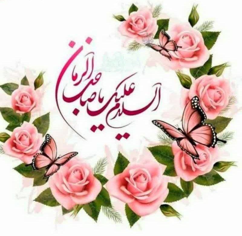 بوی نرگس عطریاس شیعیان مقیم آمریکا: سلام مولای مهربانمسپیده، نور شماست و آفتاب، تشعشعی کوچک از نگاه پر مهر شماو آسمان جلوه ی صبرتان و باران، زلال کرامتتان..