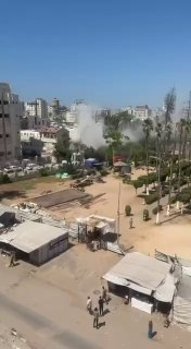 ספיר ליפקין