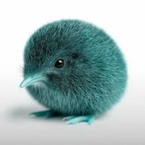 ⏤͟͟͞͞ Важная информация! !