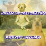 хамсtweriнggg щпщп бегите