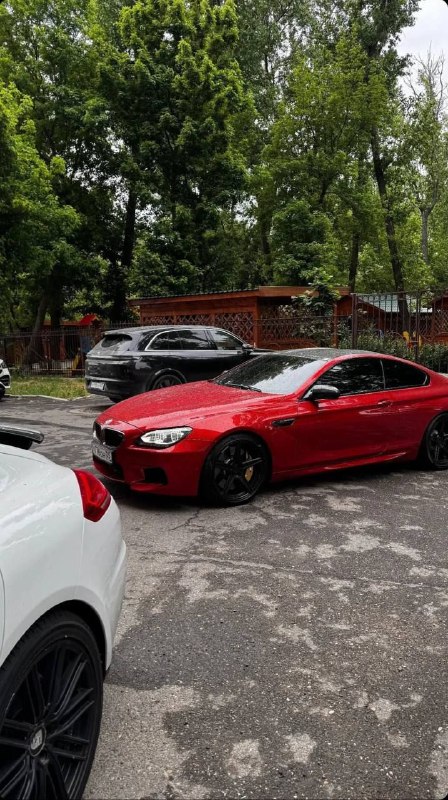 https://t.me/bmw_mpower_club