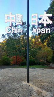 作者：comongoshi.japan