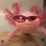 червички